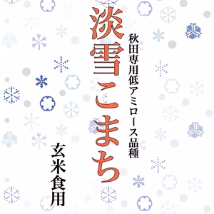 坂長家の一押し米　玄米　淡雪こまち