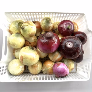 【期間限定・埼玉県産新玉ねぎ】赤玉、白玉混合・5kg・10kg