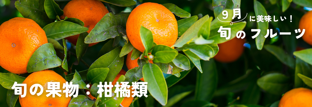 9月に旬の果物 柑橘類・みかん