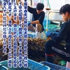 越前産 天然 干し板わかめ 20g 3パック