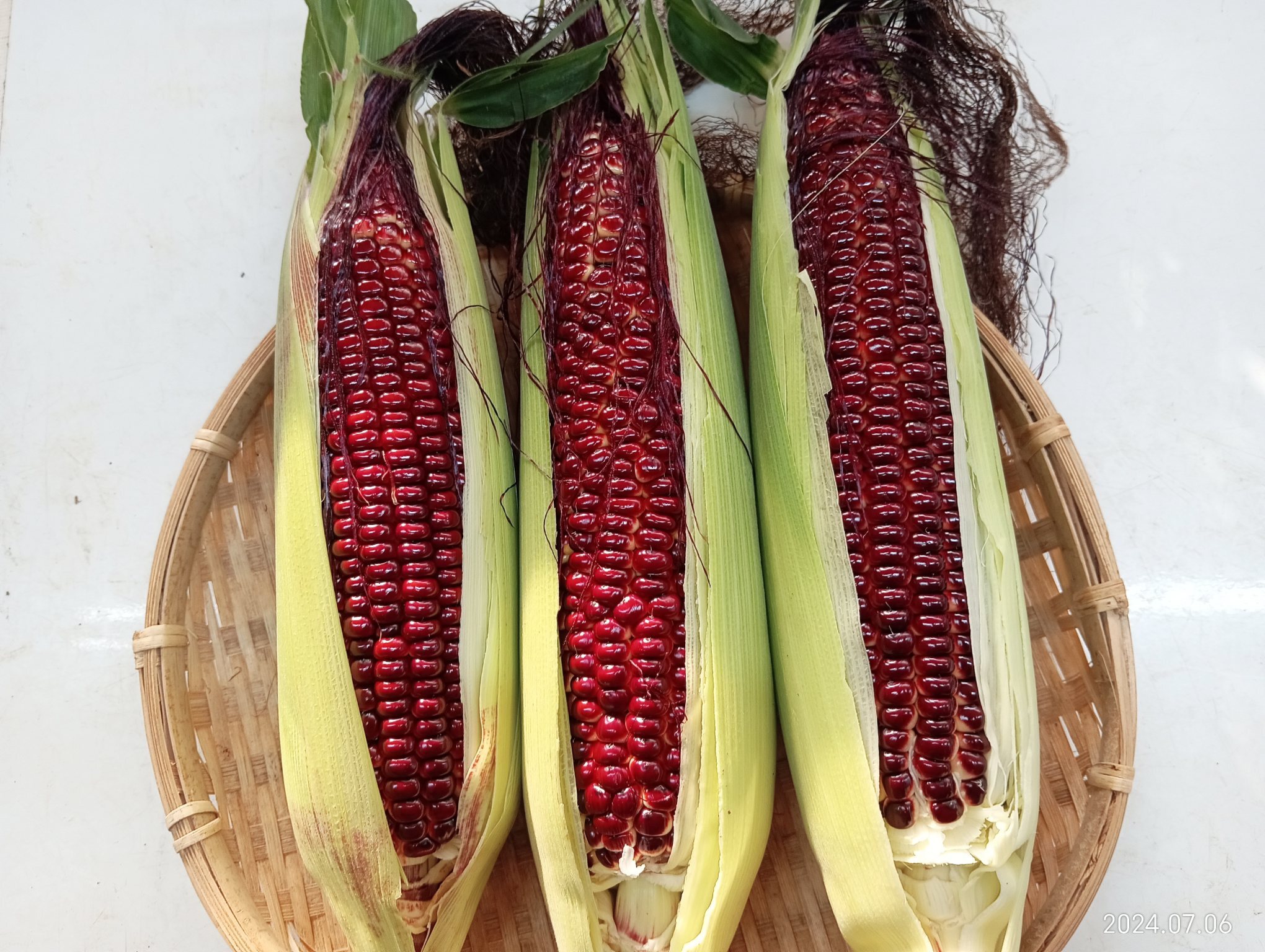 とうもろこしの産直通販・お取り寄せ商品｜野菜｜ポケットマルシェ