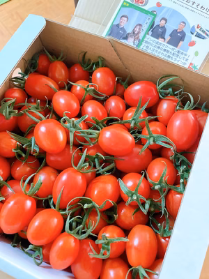 みんなの投稿の画像