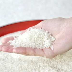 【定期】米作り３０年の名人絶賛！もっちり甘い「きらほ」無洗米
