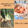 無農薬葉玉ねぎ&平飼い卵セット