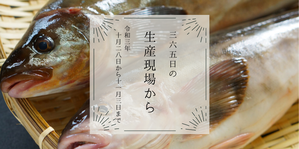 みんな秋の旬→ホッケ、牡蠣、柿、えび…え、海老芋🦐❓️｜10月28日