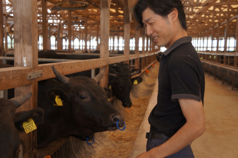 山下牛舎の通販 山下秀弥さん 農家漁師から産地直送の通販 ポケットマルシェ