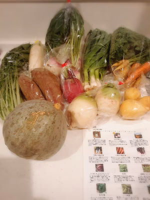 みんなの投稿の画像