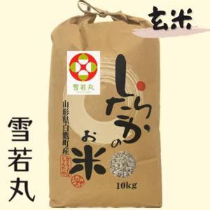 人気の新品種！！令和4年産雪若丸玄米10㎏