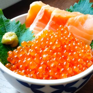 【簡単便利】活〆サケでつくるサケイクラ丼セット