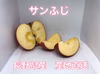 激安セール！　蜜入り　サンふじ　家庭用　小玉　長野県産