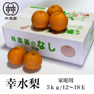 幸水梨（家庭用）　約5kg(10〜16玉)　