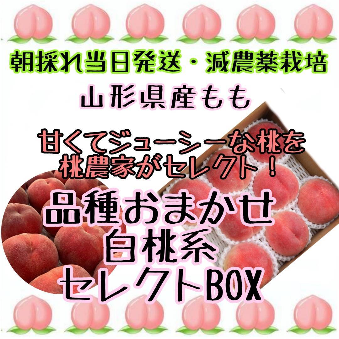 山形県産 減農薬栽培 桃 「日川白鳳」ご家庭用 3キロ箱