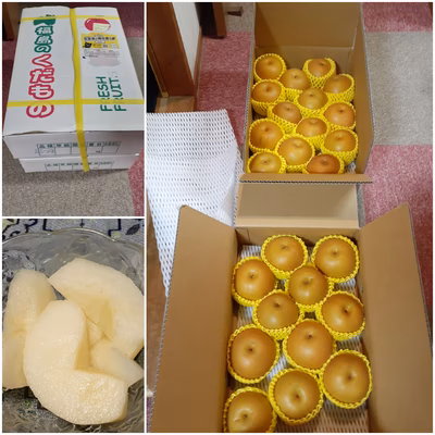 みんなの投稿の画像