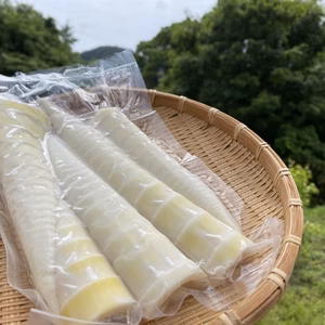 朝掘りタケノコ（淡竹）の水煮 【クール便】※2025年5月上旬順次発送