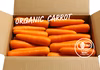 オーガニックフルーツにんじん【有機JAS認証】