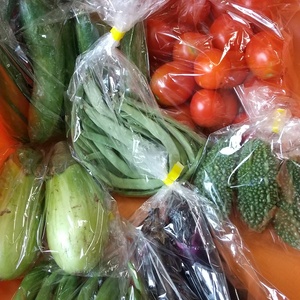 【本日クール発送】【訳ありお買い得！】野菜セット☆7種(ナス2種)