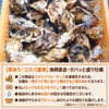 ポケマル1位記念値下げ中 生牡蠣 生食用 牡蠣13kg 殻付き牡蠣