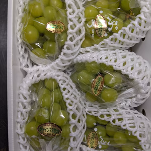 シャインマスカット５房