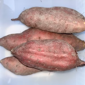 ハロウィンスイート&パープルスイートロード