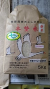 特別栽培米本埜米(もとのまい)５キロ