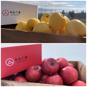 【冬ギフト】【蜜入保証】【サンふじ・はるかHALF&HALF】