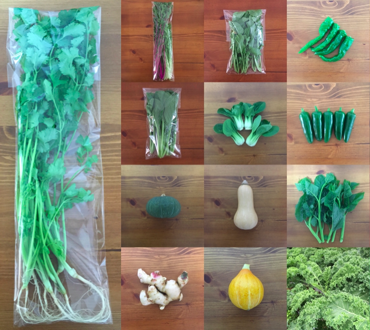 根付きパクチー 野菜セット ８点 80サイズ 農薬 化学肥料不使用 農家漁師から産地直送の通販 ポケットマルシェ