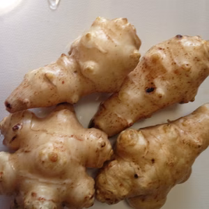 【東京・町田産】キクイモ 農薬・化学肥料・動物性堆肥不使用 5kg