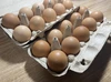 卵かけご飯に最高！平飼い 新鮮たまご 元気玉【20個】】