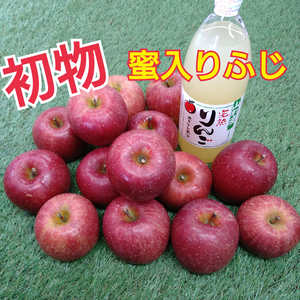 初物◆蜜入ふじりんご＆ジュース(5kg箱)