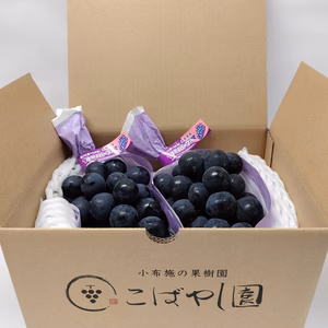 ナガノパープル2房入　900g