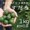 ちょこっと増量／今が旬！すだち1kg(約40玉）本場徳島・山育ち
