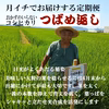 月イチでお届けする定期便　おかずのいらないコシヒカリ　つばめ返し