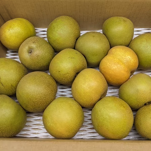 梨　幸水小サイズ3.8kg