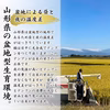 【送料無料】令和7年産 山形県産はえぬき・つや姫玄米セット 9kg 石抜き処理済