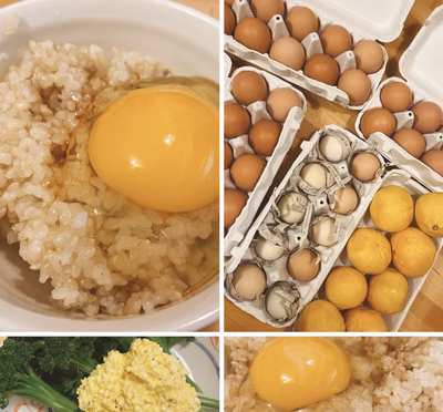 みんなの投稿の画像