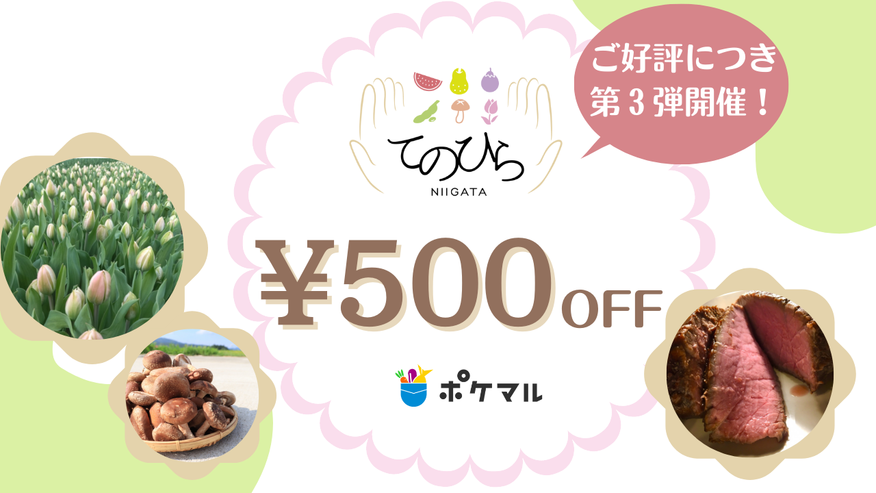 新潟が生んだ旬食材を500円オフで????『てのひら新潟フェア』第3弾！ | 農家漁師から産地直送の通販 ポケットマルシェ