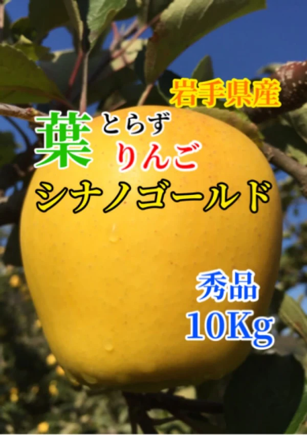 【ギフト対応可能】葉取らずりんご シナノゴールド  秀品 10Kg