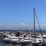 サンサンハリ〜