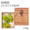 シャイン 約１.8kg【信州産】弾ける果汁！朝摘みシャインマスカット3〜4房