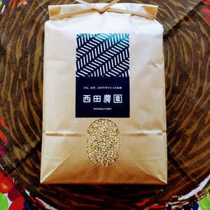 一等米【米ぬか1kg&玄米10kg】特別栽培米コシヒカリ・令和5年産・有機