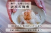 【お徳用】【すっぺぇ〜！】 素材は梅と天日塩のみ。梅干し好きが唸る梅干し