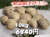 緊急値下げ！！ホンビノス貝【10kg】