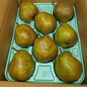 ラ・フランス8玉Lサイズ