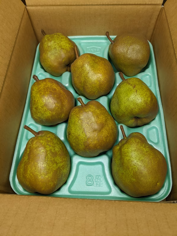 ラ・フランス8玉Lサイズ