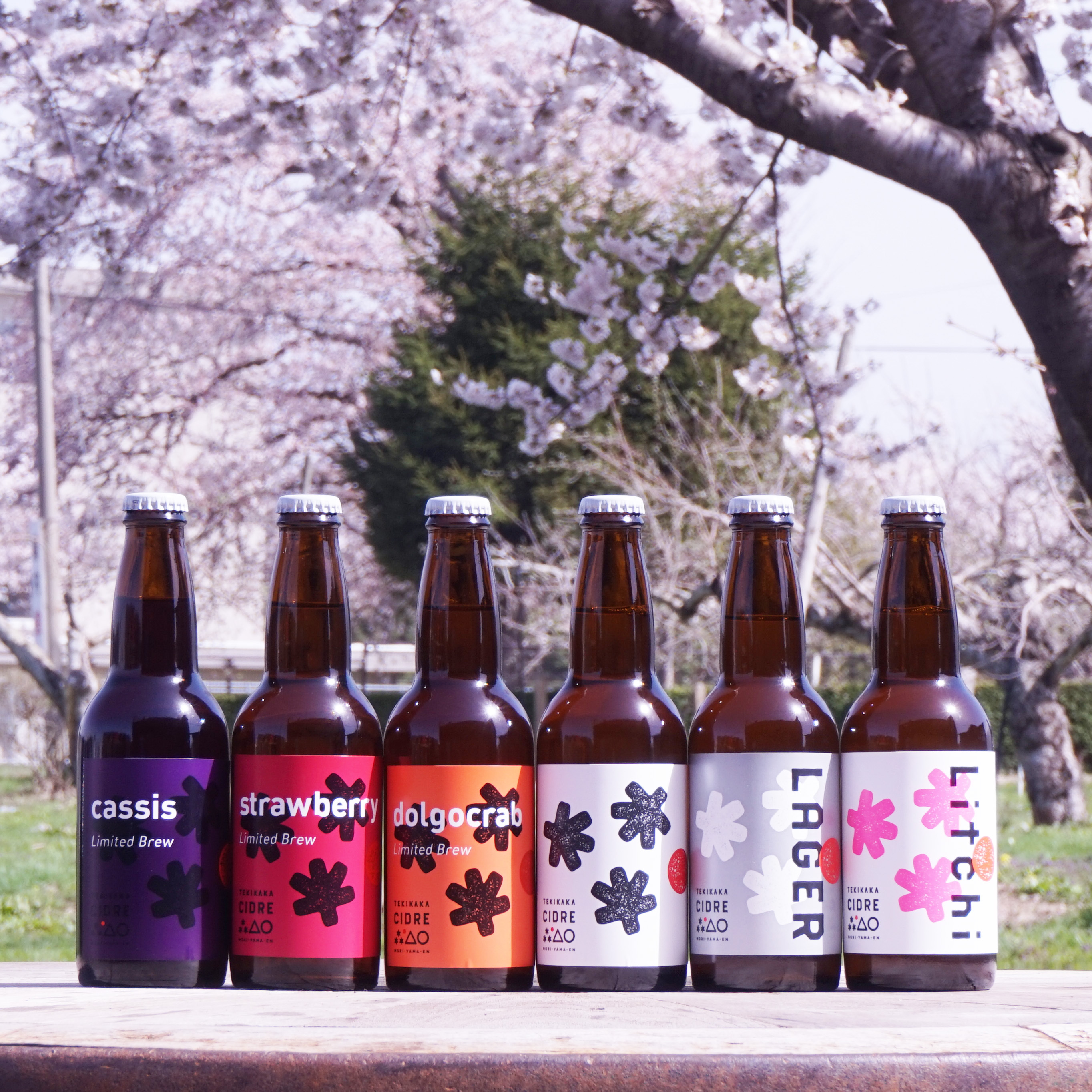 テキカカシードル元祖6種類飲み比べセット 青森のりんご園が造るｸﾗﾌﾄ