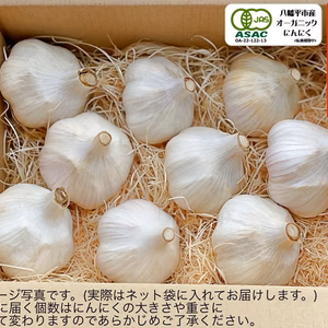 オーガニックにんにく「八幡平バイオレット」