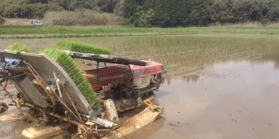 今年も田植えが無事終了