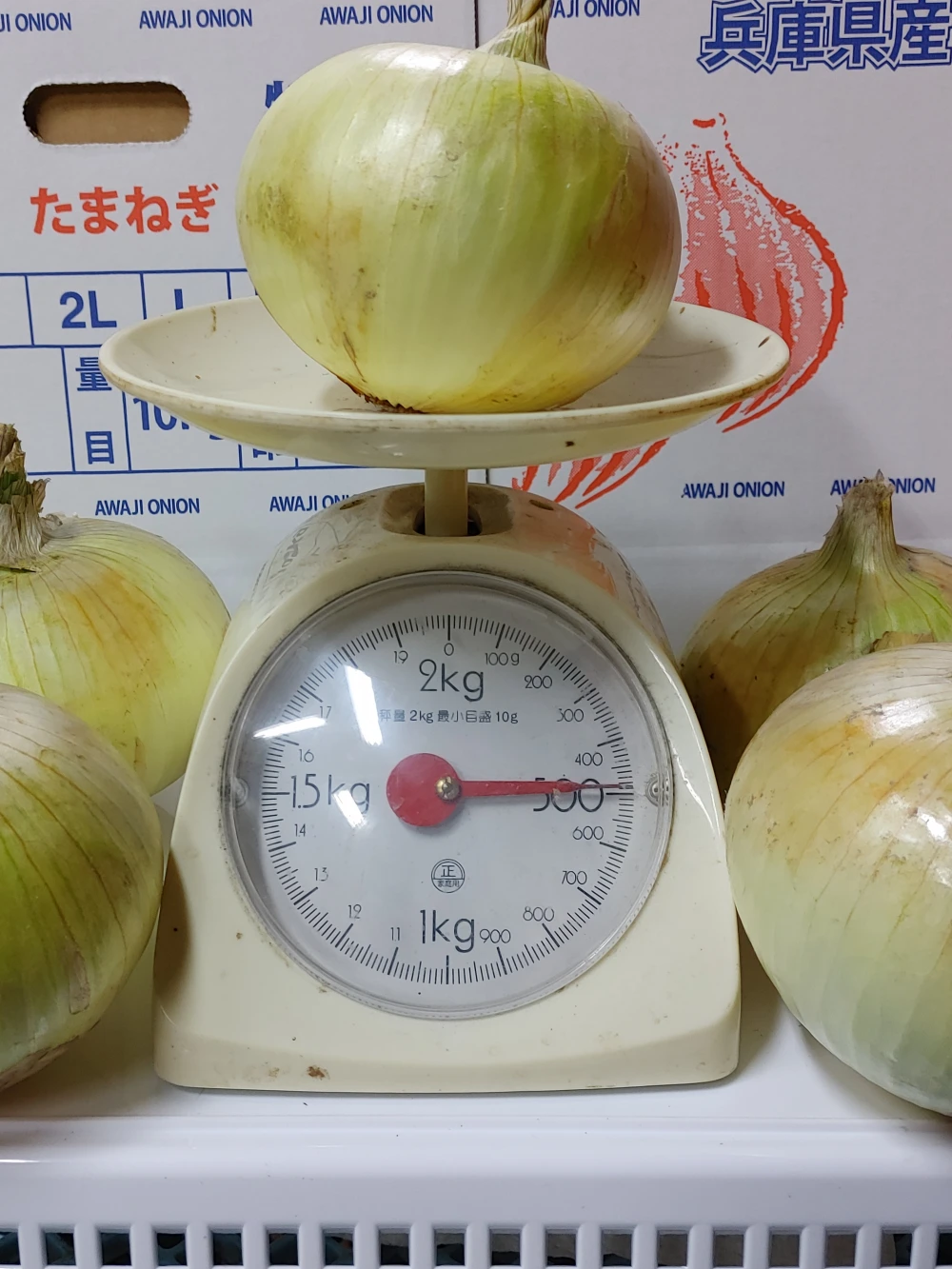 大好評、地層が違う淡路島、訳訳あり新玉ねぎ七宝早生