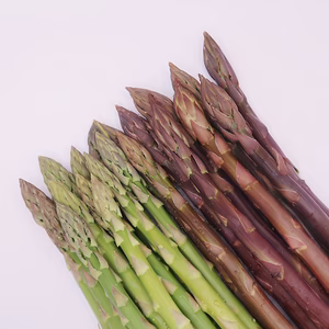 【食べ比べ】富良野産　グリーン＆ラベンダーアスパラ　L・2Lサイズ