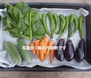 【こだわり農家の野菜セット】（チルド便）